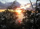 Sunset_through_Weeds