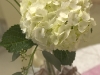 Kawartha Lakes Linen