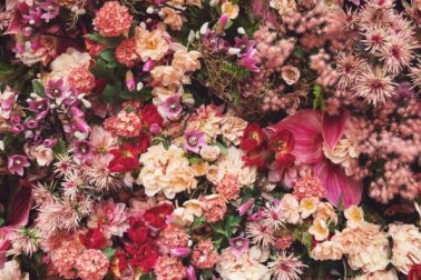 flowers-101-for-your-wedding